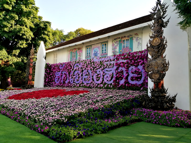 Chiang Rai Flowers at Suan Tung city park