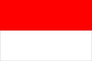 Indinesia national flag