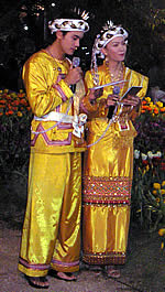 3rd Chiang Rai Flowers Festival 