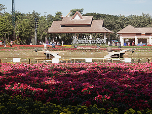 7th Chiang Rai Flowers Festivla